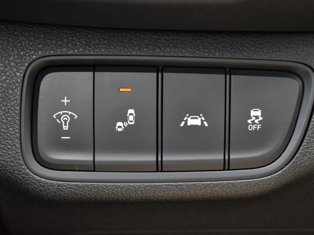 2187-hyundai-santafe-2019-64402f4s