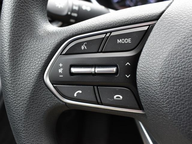 2193-hyundai-santafe-2019-64402f4s