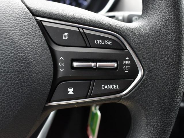 2194-hyundai-santafe-2019-64402f4s