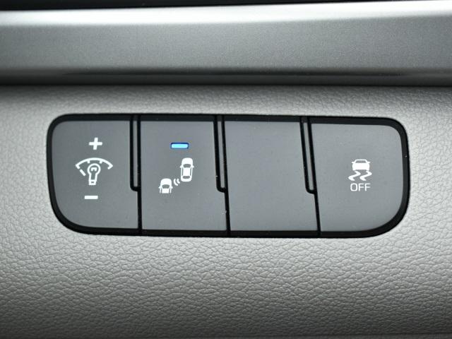 2446-hyundai-elantra-2018-47442f45
