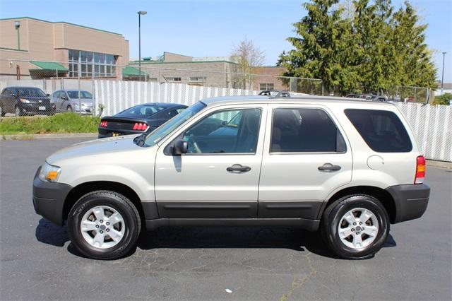 24955-ford-escape-2006-u93