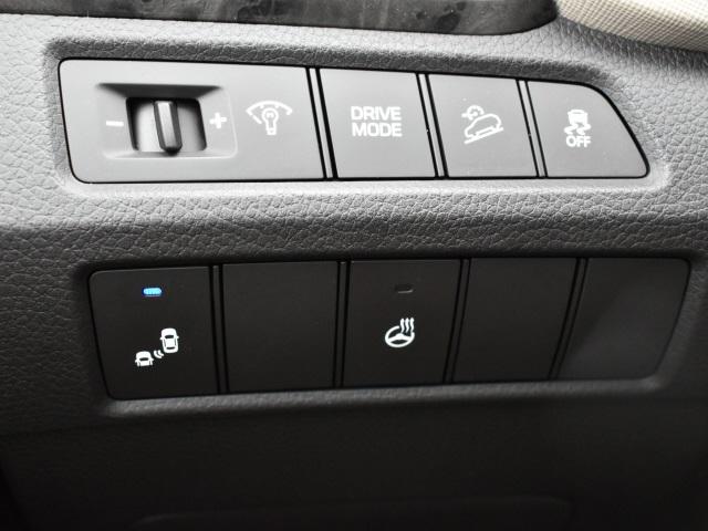 2556-hyundai-santafesport-2017-63402f45