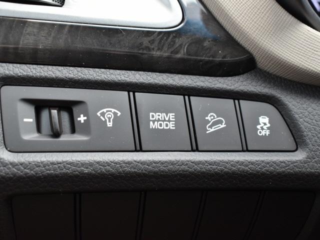2575-hyundai-santafesport-2017-63402f45