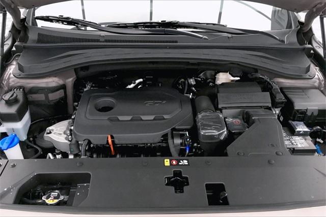 30794-hyundai-santafe-2020-64432f45