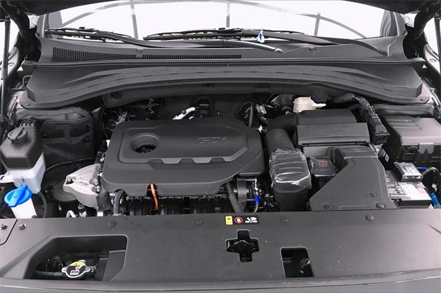 30903-hyundai-santafe-2020-64432f45