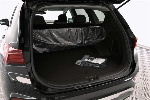 30911-hyundai-santafe-2020-64432f45