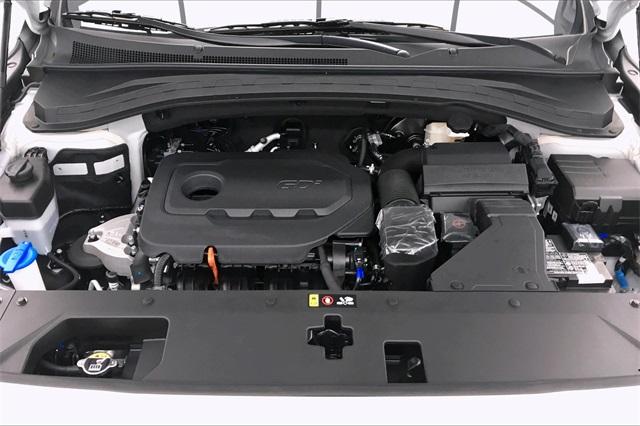 30925-hyundai-santafe-2020-64432f45