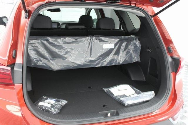 30951-hyundai-santafe-2020-64432f45