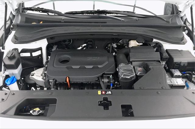 31836-hyundai-santafe-2020-64432f45