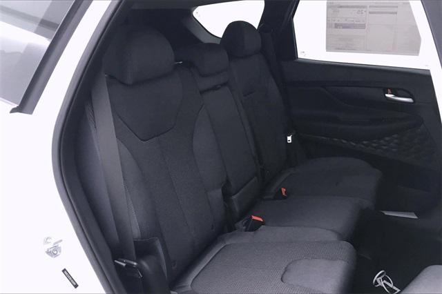 31838-hyundai-santafe-2020-64432f45