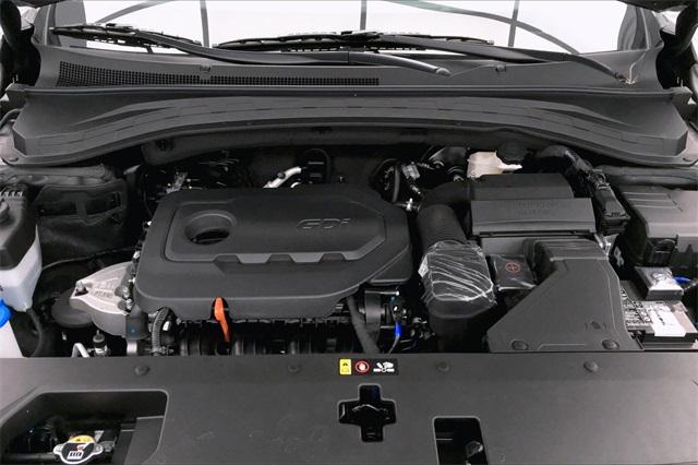31858-hyundai-santafe-2020-64432f45