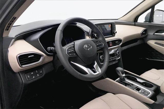 31876-hyundai-santafe-2020-64432a45