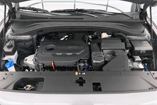 31880-hyundai-santafe-2020-64432a45
