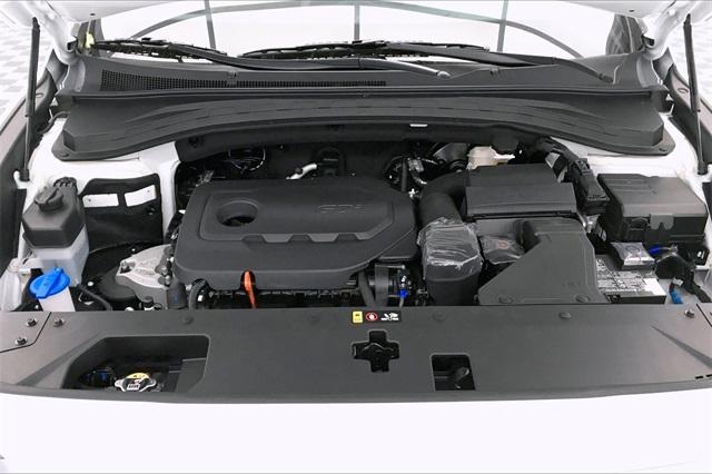 31947-hyundai-santafe-2020-64432f45