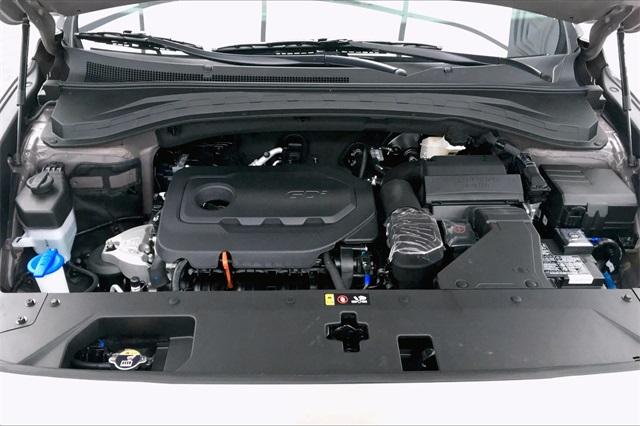 31969-hyundai-santafe-2020-64432f45