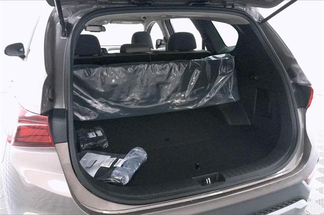 31977-hyundai-santafe-2020-64432f45