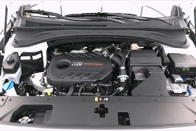 32127-hyundai-santafe-2020-644a2ft5