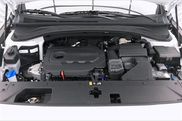 32173-hyundai-santafe-2020-644a2f45