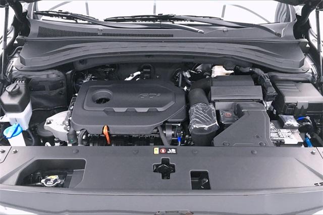 32800-hyundai-santafe-2020-64432f45