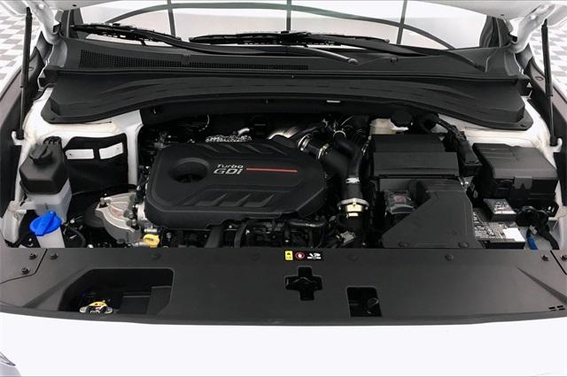 32844-hyundai-santafe-2020-64432ft5