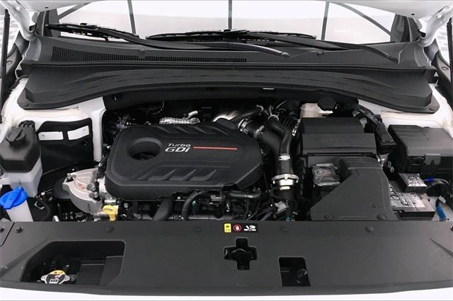 32867-hyundai-santafe-2020-64432ft5