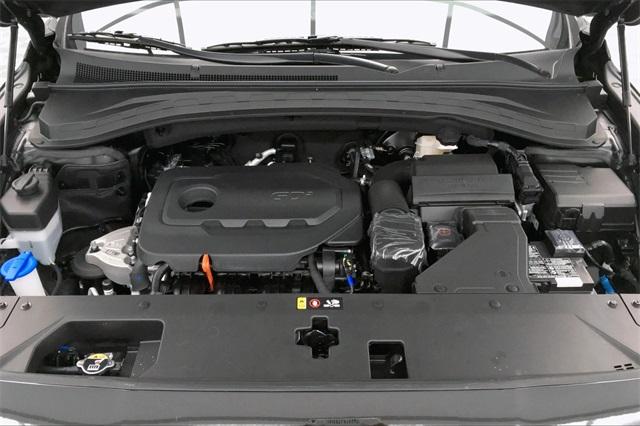 32890-hyundai-santafe-2020-64432f45