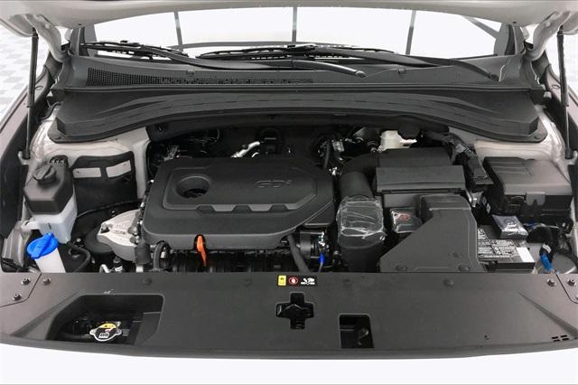 33043-hyundai-santafe-2020-64432f45
