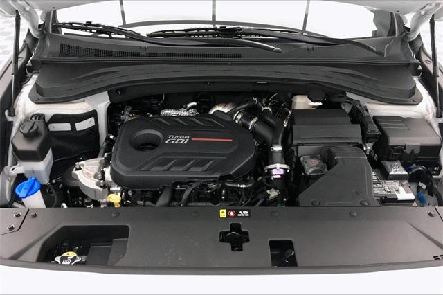 33581-hyundai-santafe-2020-64432ft5