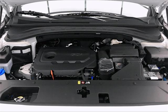 33630-hyundai-santafe-2020-64412f45