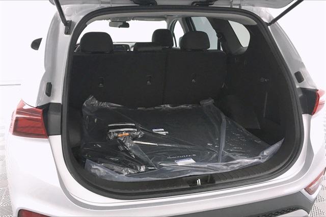 33638-hyundai-santafe-2020-64412f45