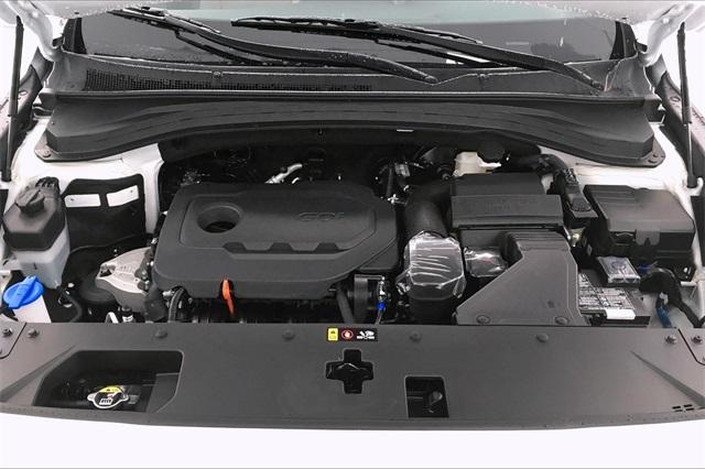 33675-hyundai-santafe-2020-64412f45