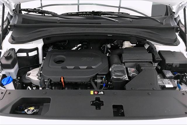 33697-hyundai-santafe-2020-64432f45