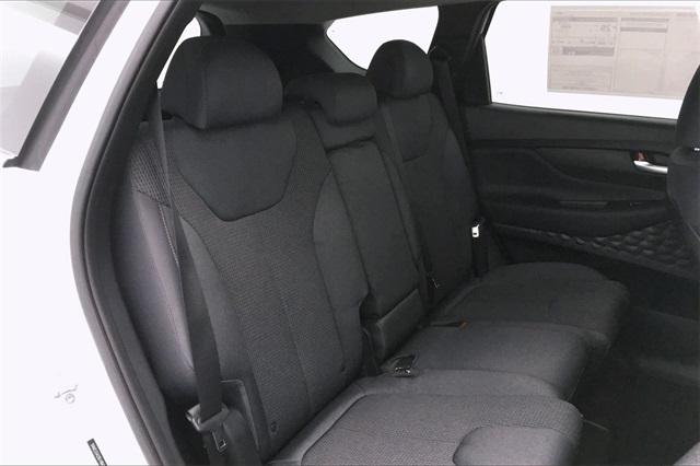 33699-hyundai-santafe-2020-64432f45