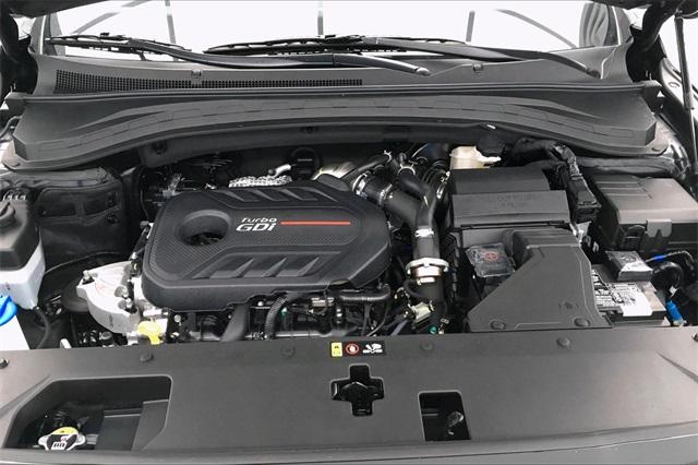 34083-hyundai-santafe-2020-64432ft5