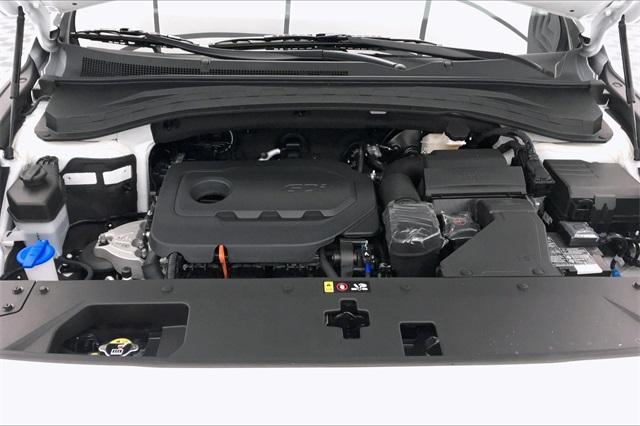 34106-hyundai-santafe-2020-64432f45