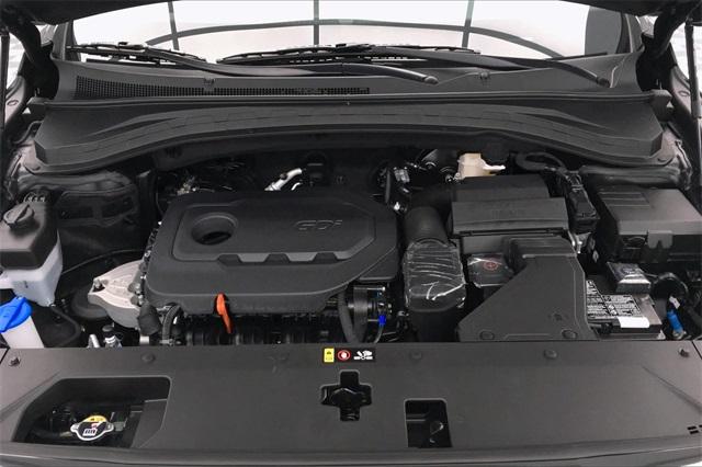 34128-hyundai-santafe-2020-64432f45