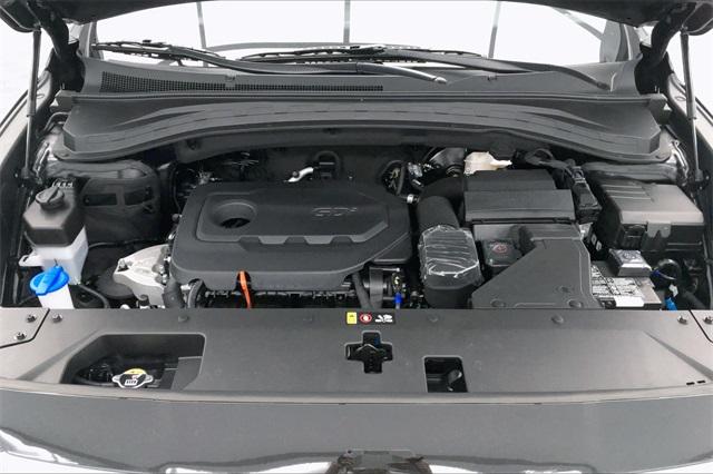34150-hyundai-santafe-2020-64432f45