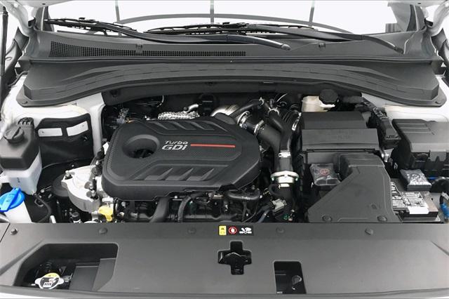 34329-hyundai-santafe-2020-64432ft5