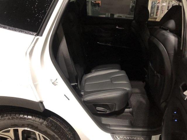 4788-hyundai-santafe-2019-64422f4s