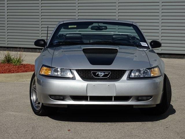 51028-3489-ford-mustang-1999-p45