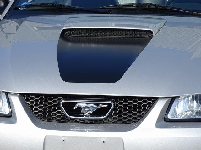 51029-3489-ford-mustang-1999-p45
