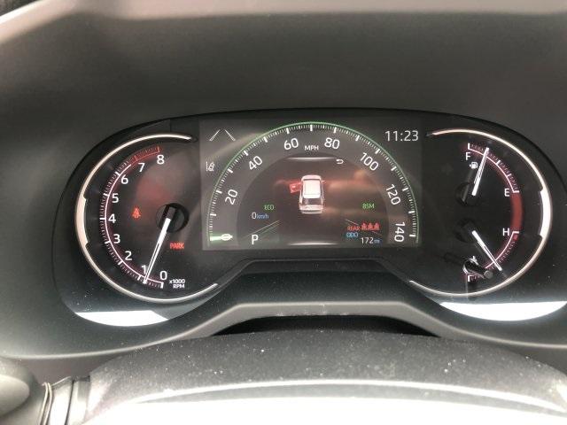 5973-toyota-rav4-2019-4452