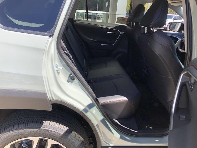 6176-toyota-rav4-2019-4446