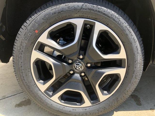 6183-toyota-rav4-2019-4446